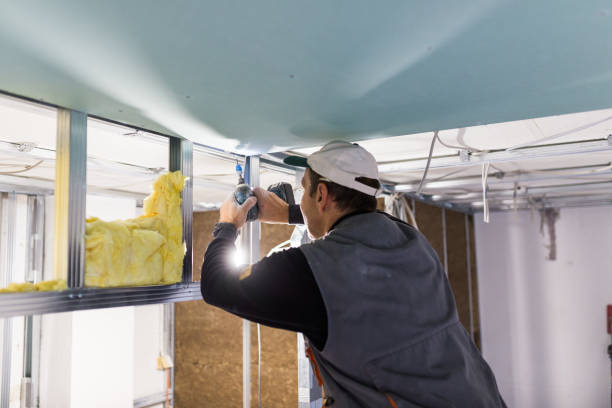 Best Eco-Friendly Insulation in Webberville, MI