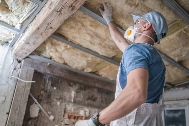 Best Eco-Friendly Insulation in Webberville, MI