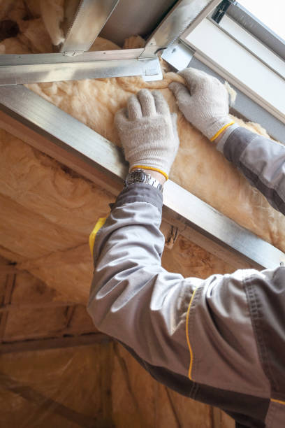 Best Blown-in Insulation in Webberville, MI