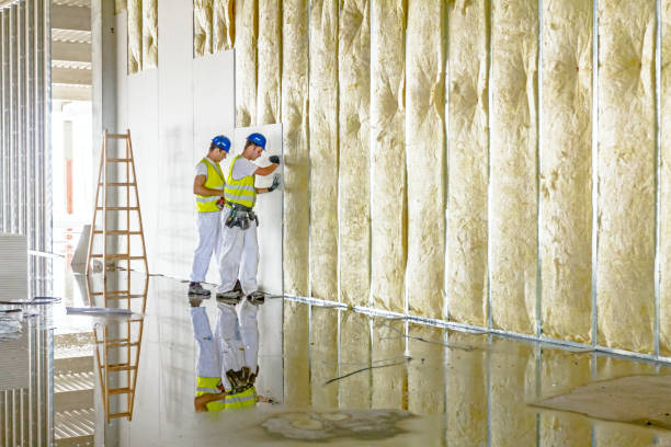 Professional Insulation Contractor in Webberville, MI